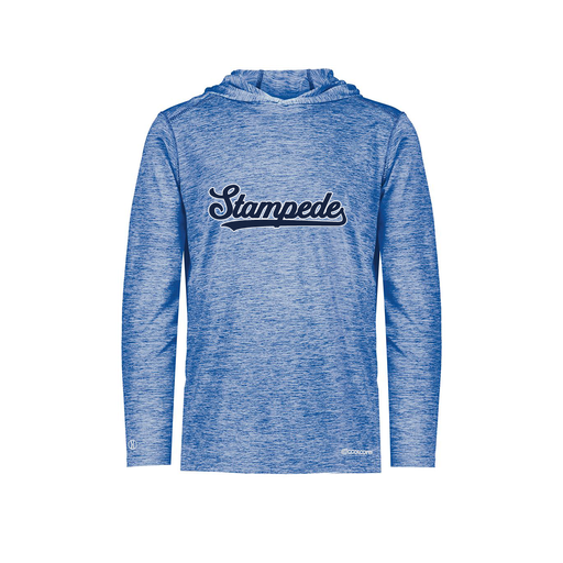 [FOLHCGRY-AS-LOGO2] Decker Men's Charge Hoodie (Adult S, Royal, Logo 2)