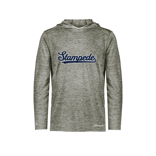 [FOLHCGGY-YS-LOGO2] Decker Youth Charge Hoodie (Youth S, Gray, Logo 2)